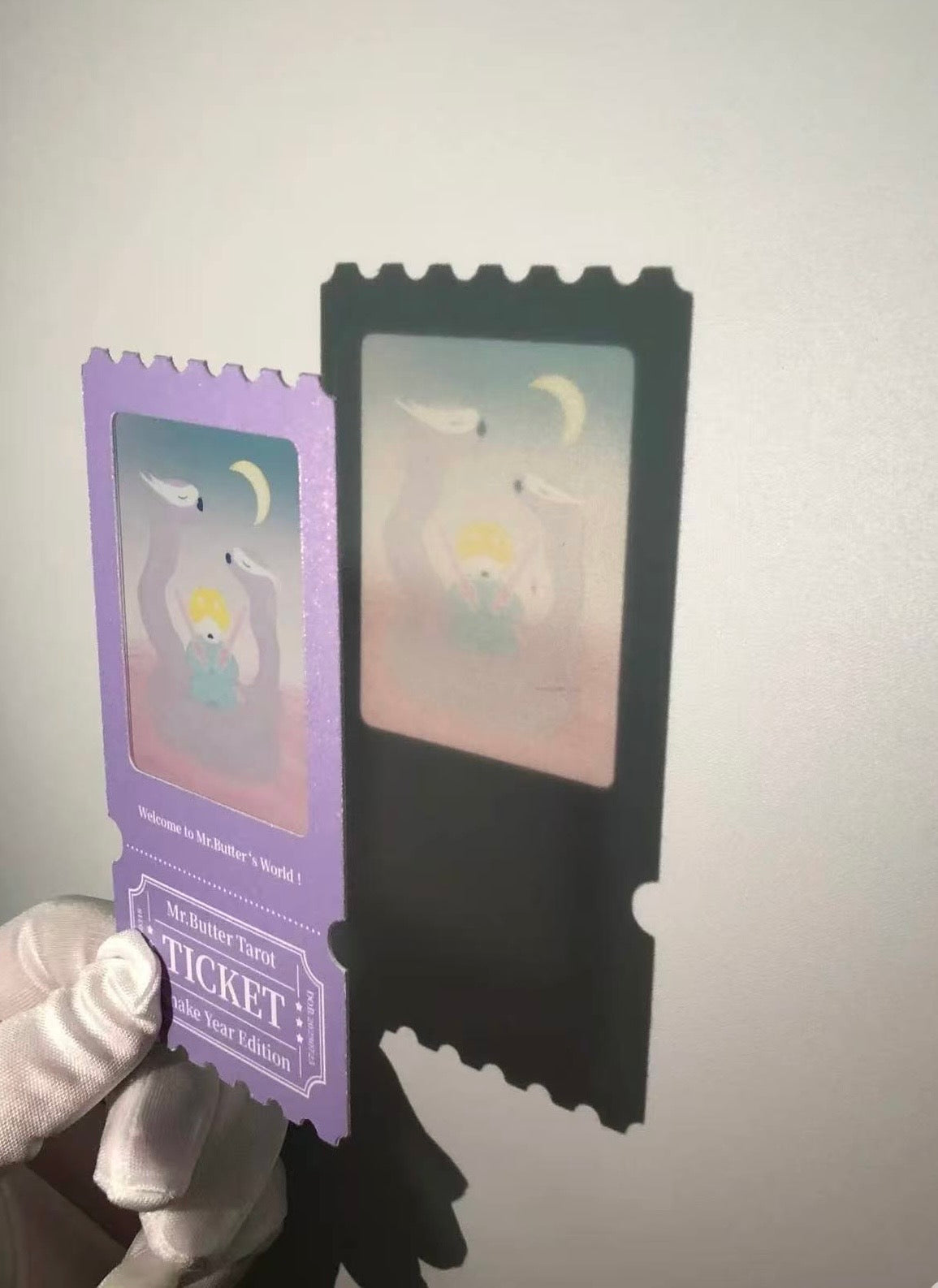 Reversal Film Souvenir Ticket Stub